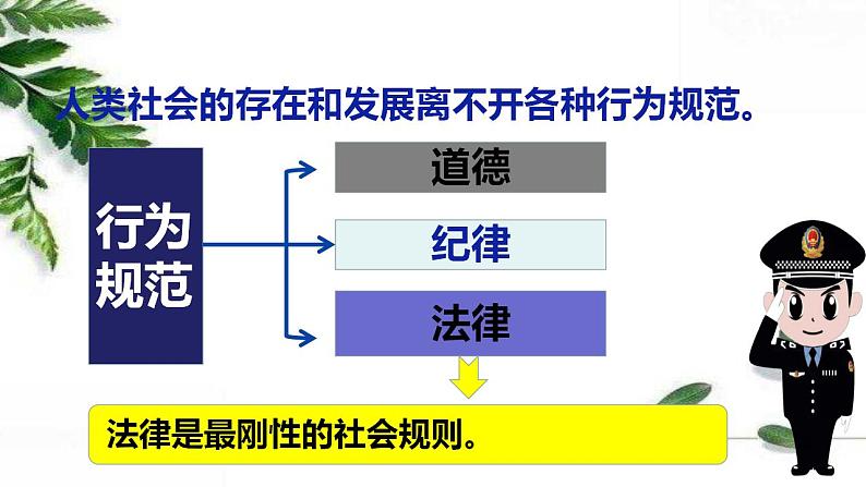 部编版八年级上册道德与法治第2单元 5.1法不可违课件06