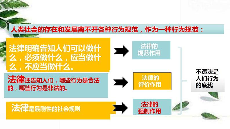 部编版八年级上册道德与法治第2单元 5.1法不可违课件07