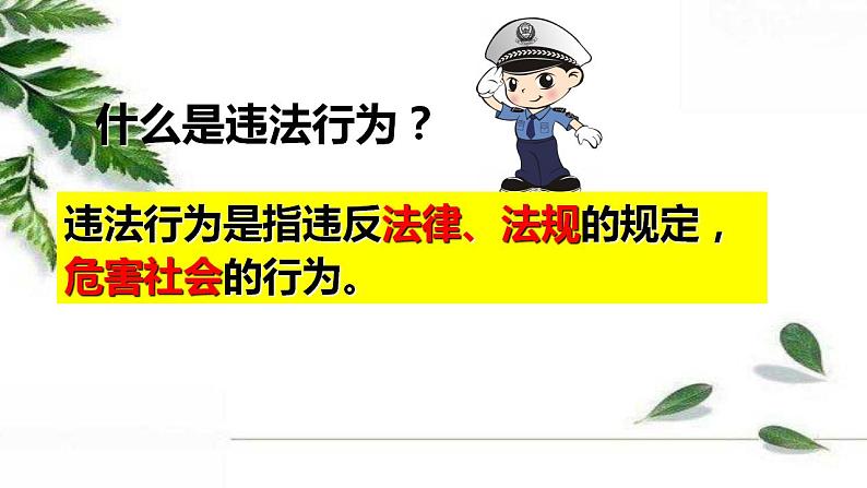 部编版八年级上册道德与法治第2单元 5.1法不可违课件08