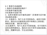 人教版七年级道德与法治下册第三单元 在集体中成长 复习课件