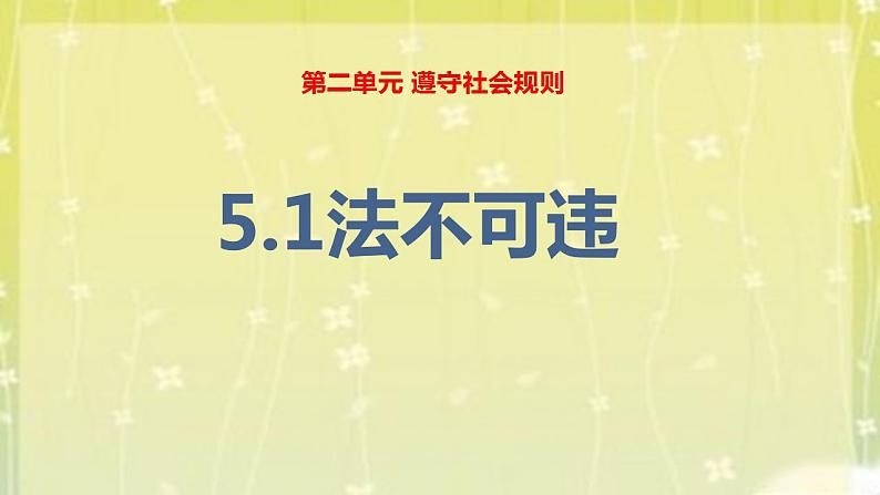 2021-2022学年八年级上册道德与法治5.1法不可违课件第2页