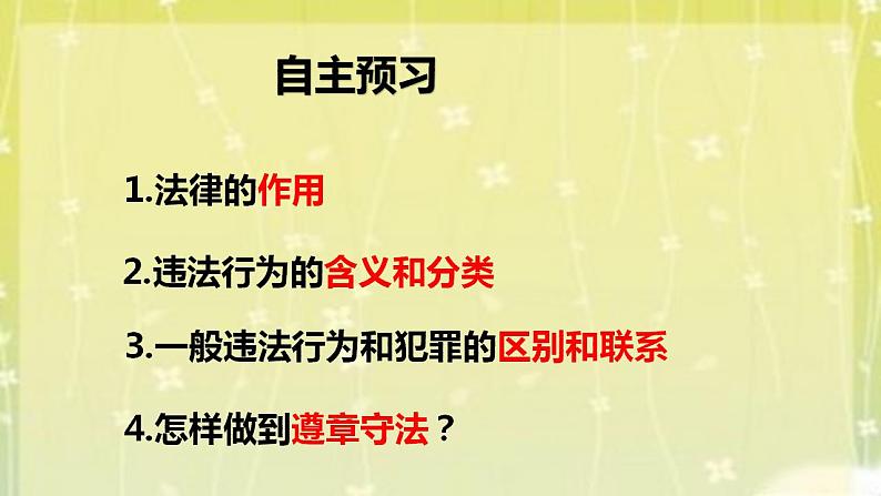 2021-2022学年八年级上册道德与法治5.1法不可违课件第4页