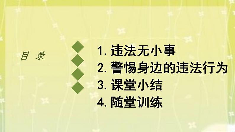 2021-2022学年八年级上册道德与法治5.1法不可违课件第5页