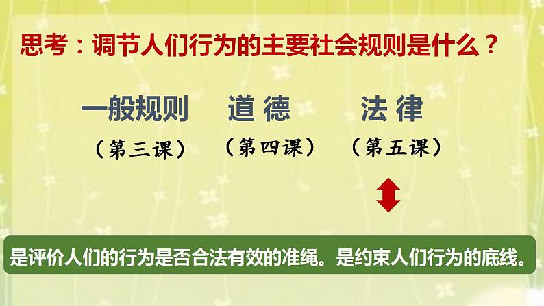 2021-2022学年八年级上册道德与法治5.1法不可违课件第8页