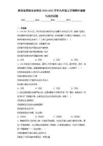 陕西省渭南市合阳县2020-2021学年九年级上学期期中道德与法治试题(word版含答案)