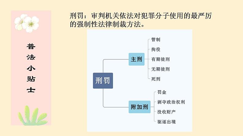 5.2 预防犯罪 课件-2021-2022学年部编版道德与法治八年级上册 (1)第6页