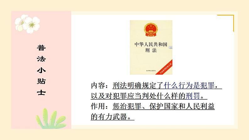 5.2 预防犯罪 课件-2021-2022学年部编版道德与法治八年级上册 (1)第8页