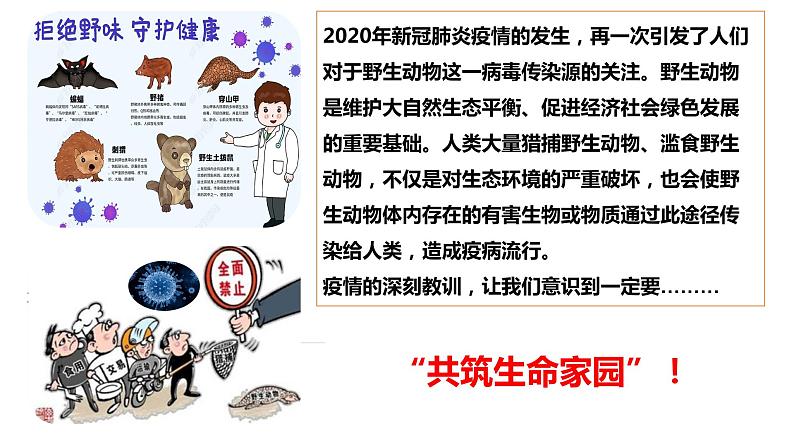 6.2 共筑生命家园 课件-2021-2022学年部编版道德与法治九年级上册02