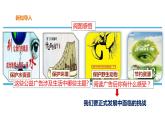 6.1 正视发展挑战 课件-2021-2022学年部编版道德与法治九年级上册