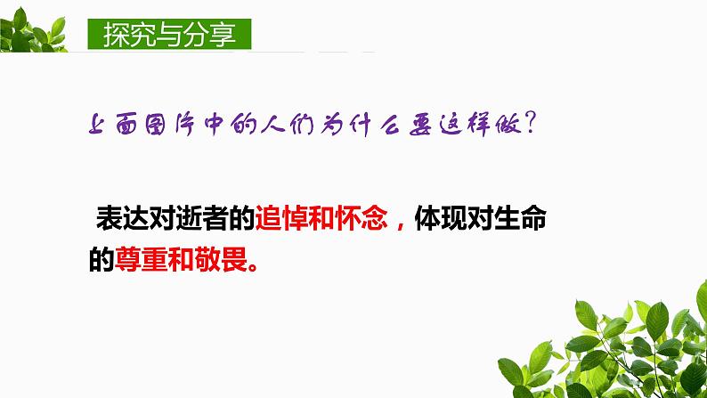 2021-2022学年部编版七年级道德与法治上册 8.2  敬畏生命 课件 （22张PPT）第3页