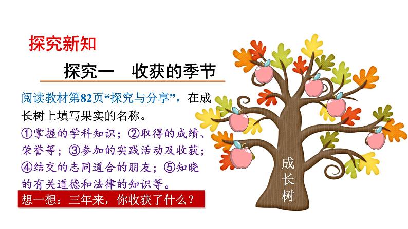 2021-2022学年部编版道德与法治九年级下册 7.1　回望成长  课件（26张PPT）第4页