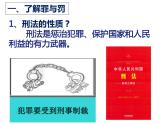 2021-2022学年部编版道德与法治八年级上册 5.2 预防犯罪  课件 （18张PPT）