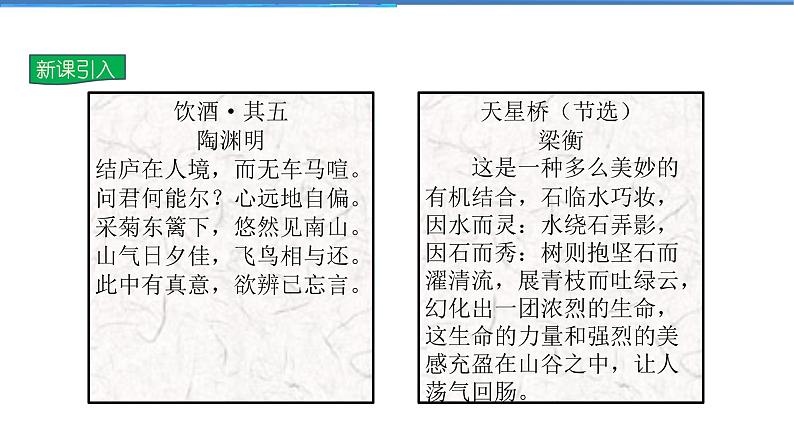 2021-2022学年度人教版九年级道德与法治上册课件 3.6.2共筑生命家园03