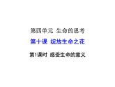 2021-2022学年度人教版七年级道德与法治上册课件 10.1感受生命的意义