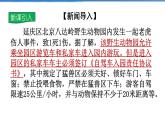 2021-2022学年度人教版八年级道德与法治上册课件 3.2遵守规则