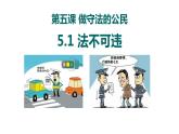 5.1《法不可违》课件+教案+练习