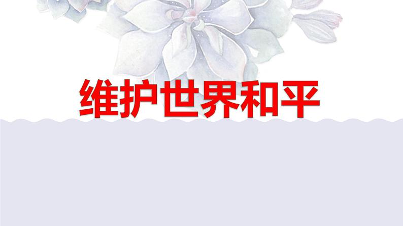 2020-2021学年部编版九年级道德与法治下册 2.1 推动和平与发展   课件（27张PPT）05