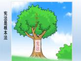 人教部编版八年级下册（道德与法治） 第一单元 2.1坚持依宪治国课件PPT