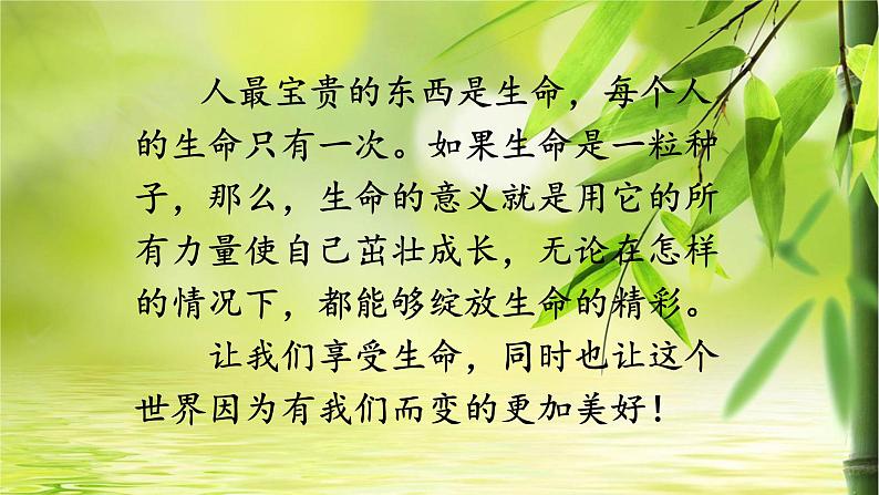 人教版部编七年级道德与法治上册10.1感受生命的意义    课件第2页