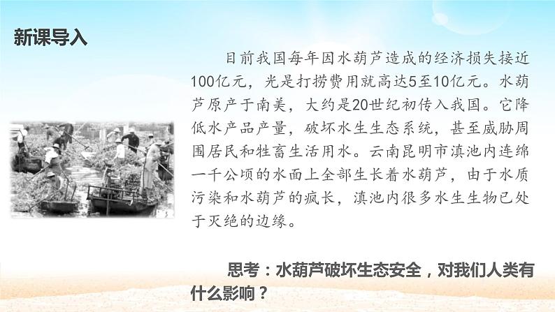 人教部编版八年级道德与法治上册9.2维护国家安全  课件第2页