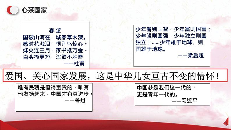 人教部编版八年级道德与法治上册10.1关心国家发展   课件03