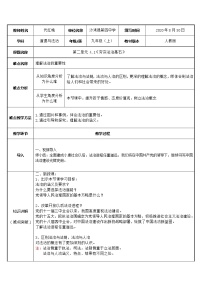 人教部编版九年级上册（道德与法治）夯实法治基础教学设计