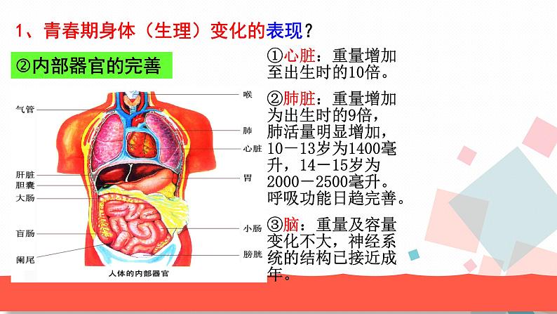 人教版版道德与法治七年级下册1.1悄悄变化的我 教学课件第8页