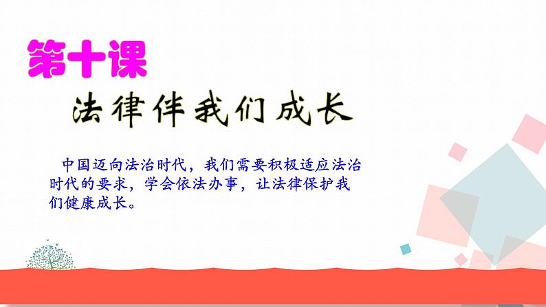 人教版版道德与法治七年级下册10.1法律为我们护航教学课件01