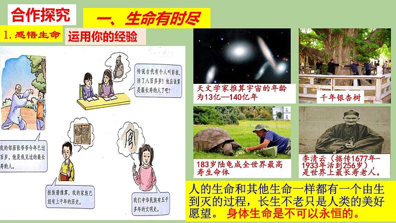 2021-2022学年部编版道德与法治七年级上册  8.1 生命可以永恒吗  课件（22张PPT）第5页