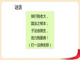 2.1《坚持依宪治国》课件+教案+练习