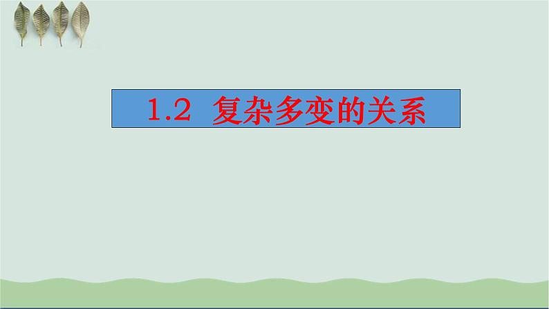 统编版初中道德与法治九年级下册 1.2 复杂多变的关系  课件02