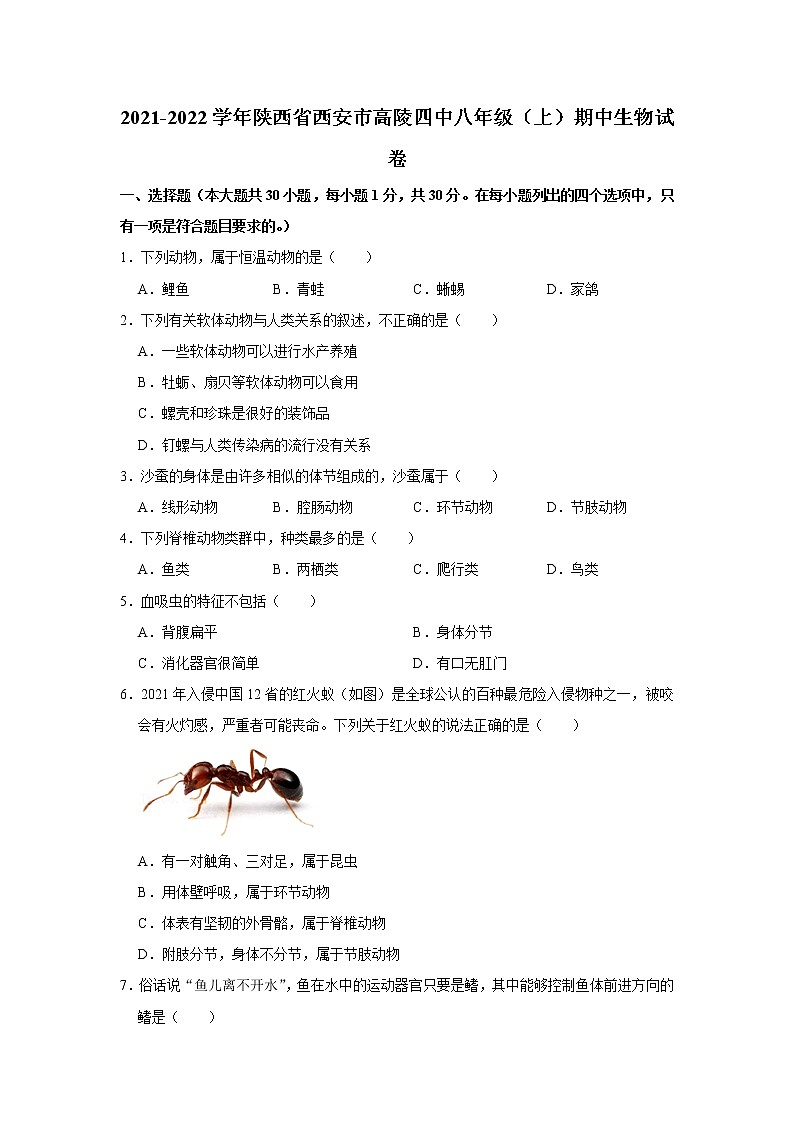 山东省德州市陵城区2021-2022学年八年级上学期期中考试道德与法治【试卷+答案】第1页