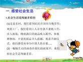 人教版道德与法治八年级上册  1.1我与社会【课件】