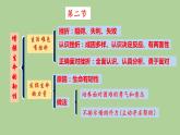 2021-2022学年部编版道德与法治七年级上册 第九课 珍视生命 复习课件（18张PPT）