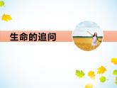 2021-2022学年部编版道德与法治七年级上册 10.1 感受生命的意义 课件（13张PPT）