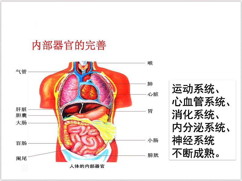 部编版《道德与法治》七年级下册1.1  悄悄变化的我 （课件+教案+练习含答案）07