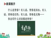 3.1青春飞扬课件-2021-2022学年部编版道德与法治七年级下册