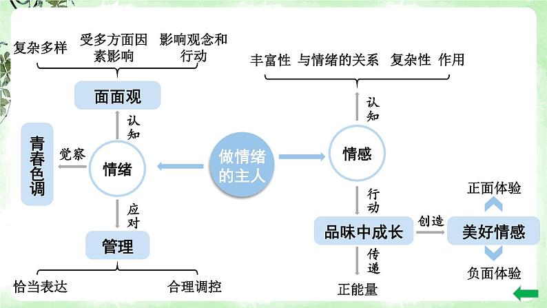 部编版道法七下 第二单元复习 课件PPT04