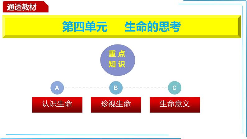 部编版七年级道德与法制上册----9.1守护生命课件PPT第2页