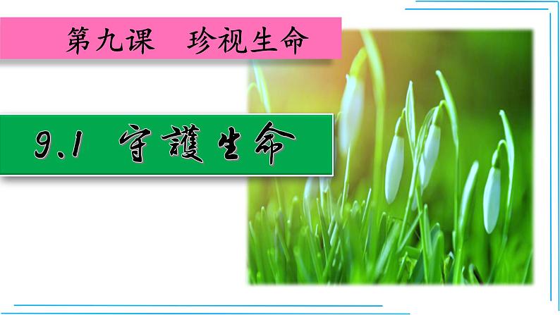 部编版七年级道德与法制上册----9.1守护生命课件PPT第4页