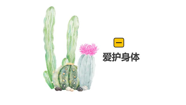 9.1守护生命【七上道法高效课件】第5页