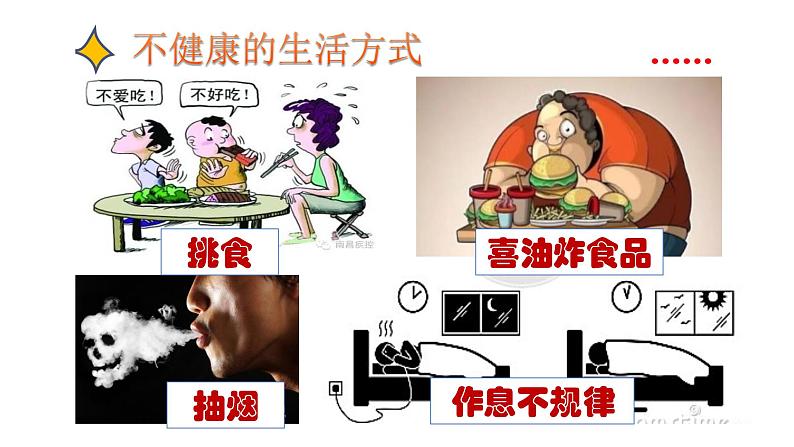 9.1守护生命【七上道法高效课件】第6页