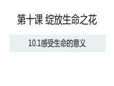 部编版七年级道德与法制上册----10.1 感受生命的意义 课件+视频）