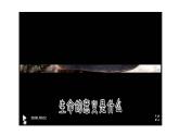部编版七年级道德与法制上册----10.1感受生命的意义 课件