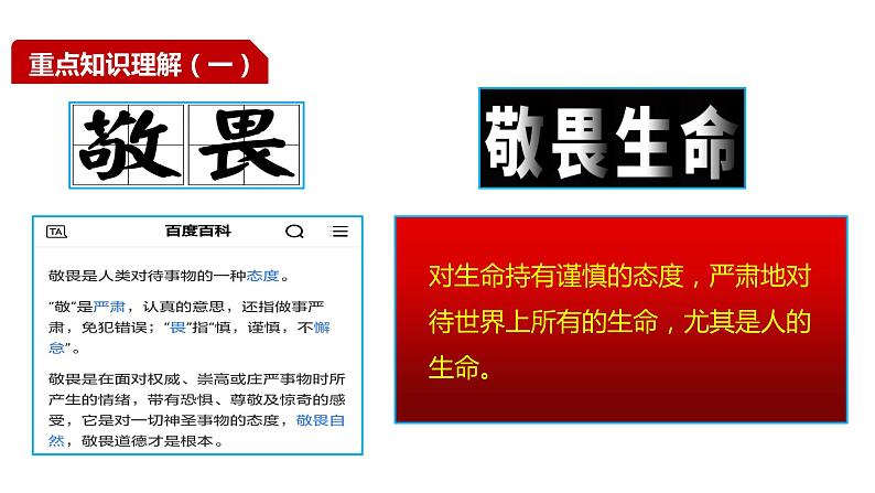 部编版七年级道德与法制上册----8.2敬畏生命【最新七上道法同步备课精美课件 视频素材】05