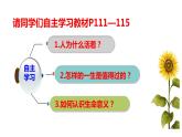 部编版七年级道德与法制上册----10.1感受生命的意义1课件PPT