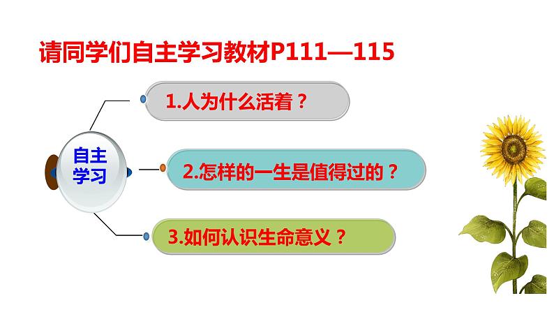 10.1感受生命的意义第4页