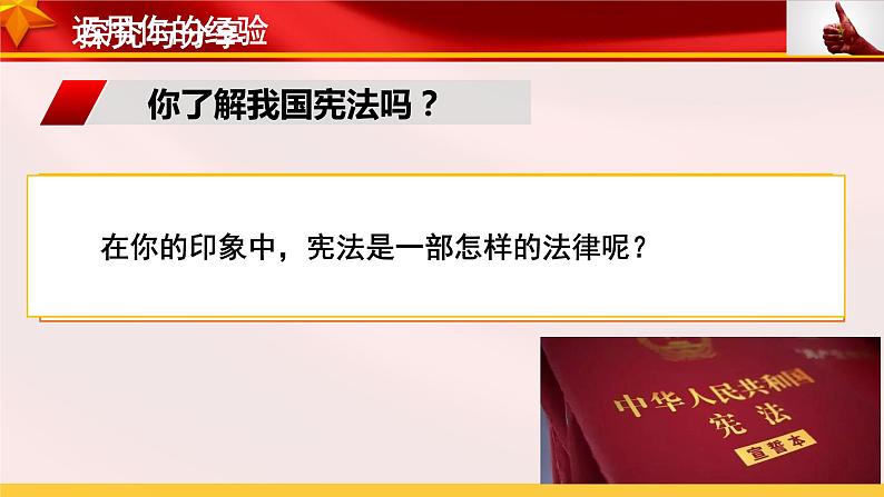 2.1 坚持依宪治国 课件+教案+学案+练习+2个视频05