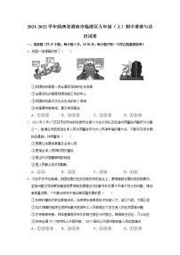 2021-2022学年陕西省渭南市临渭区九年级（上）期中道德与法治试卷   解析版