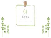2.2 青春萌动（课件）-下学期七年级道德与法治高效精品课件与学案（部编版）